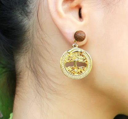 Aros Raices